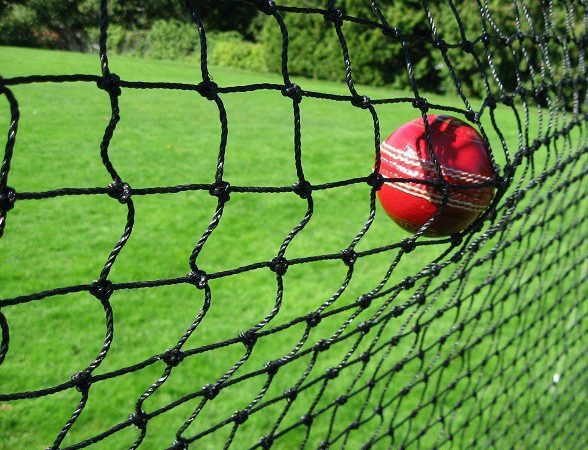 Cricket Netting