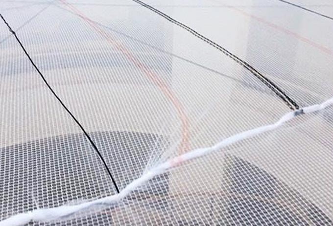 Bird Netting on roof
