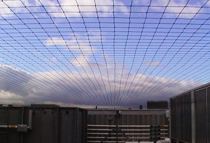 Bird Netting system over property